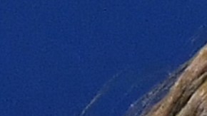 Kendall Jenner y Ana Brenda Contreras