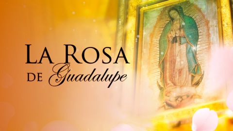 'La Rosa de Guadalupe', el unitario exitoso de Univision