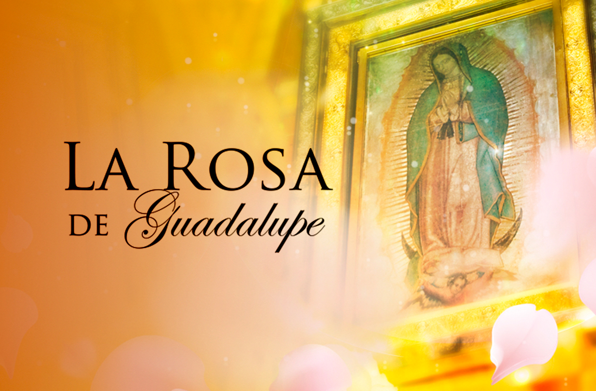 'La Rosa de Guadalupe', el unitario exitoso de Univision