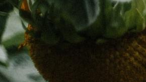 Cómo aplicar la ley de la atracción