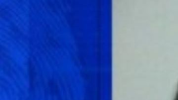 Graham William Reid, de 29 años, enfrenta cuatro cargos por crueldad animal.