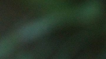 Puma, león de montaña