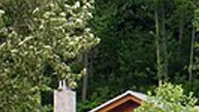 Bill y Melinda Gates