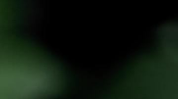 Significado espiritual de las mariposas