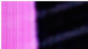 Ashton Kutcher y Mila Kunis