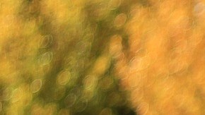 Frases para ser positivo