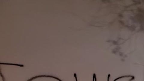 Las pintadas fueron descubiertas en la madrugada de este jueves y varios activistas y políticos han condenado estos hechos.