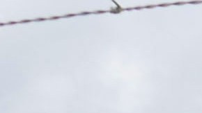 El oleoducto Colonial quedó paralizado por un ciberataque.