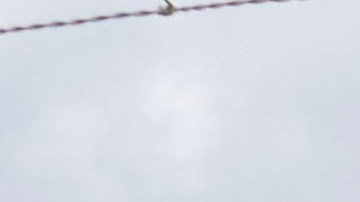 El oleoducto Colonial quedó paralizado por un ciberataque.