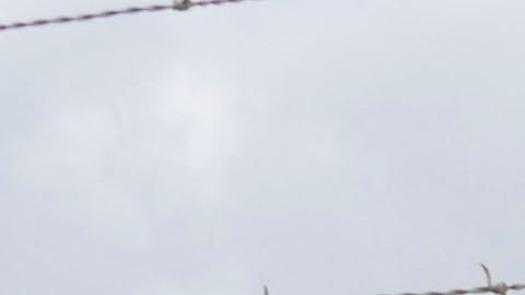 El oleoducto Colonial quedó paralizado por un ciberataque.