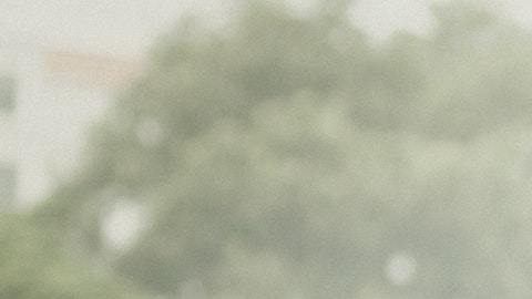Por qué te abandona cada signo