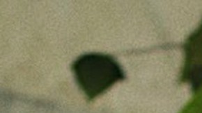 Bárbara López y Ximena Romo participan en 'Señorita 89'