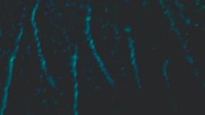 Significado de soñar con brujeria