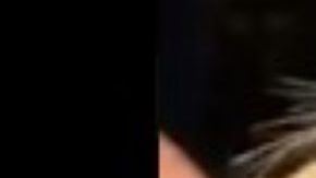 La Policía de Houston recuperó al tigre.