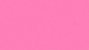 Lisa Vanderpump es la estrella de 'Vanderpump Dogs'