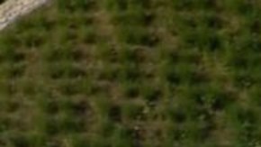 La primera piscina "flotante" del mundo está en Londres.