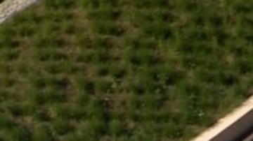 La primera piscina "flotante" del mundo está en Londres.