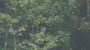 Mapa político Ciudad de México