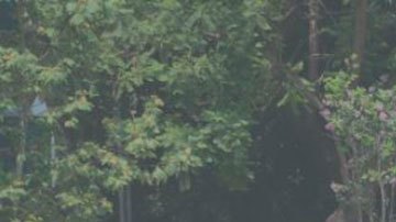 Mapa político Ciudad de México