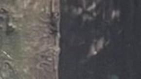 La hermana Mary Joseph vivió los primeros 60 años de su vida coo parte de la alta sociedad de San Francisco.