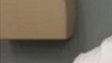 Expertos creen que lo sucedido a Packard fue puramente accidental.