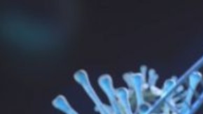 La OMS denominó como "Lambda" a la variante encontrada por primera vez en Perú en agosto del 2020.