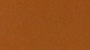 El director del IME, Luis Gutiérrez Reyes, le entrega su tarjeta a Rosa Leos. / foto: Jorge Luis Macías.