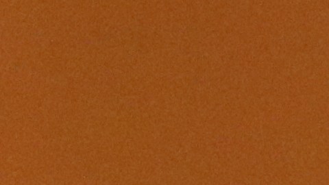 El director del IME, Luis Gutiérrez Reyes, le entrega su tarjeta a Rosa Leos. / foto: Jorge Luis Macías.