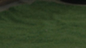 Stephanie Salas y Michelle Salas