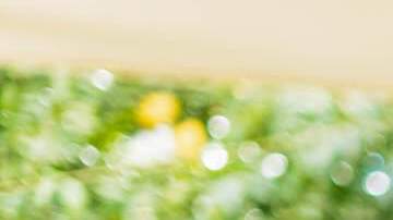 Advertorial-Hero-Image-1