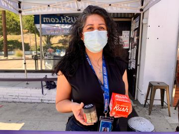 Aíde Castro, una latina enfocada en el negocio de la marihuana en Los Ángeles. (Araceli Martínez/La Opinión)