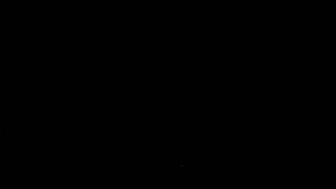 Foto: Craig-Schwartz