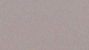 Club de Cuervos podria llegar a la Liga MX