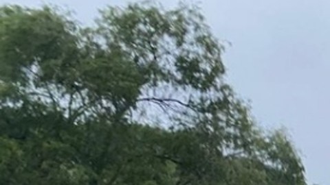 Tormenta Tropical Enrique