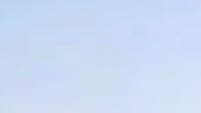 El oficial evalúa al bebé en problemas sobre el Freeway 101.