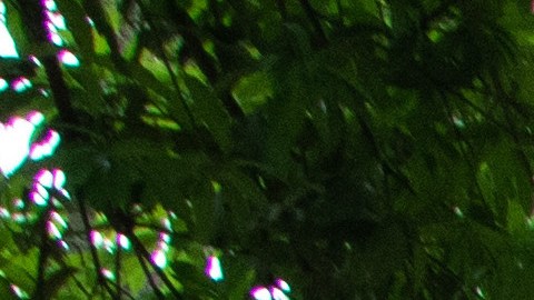 Soñadores, staff y profesores posan juntos. De izquierda a derecha: Gloria, Citlalli, Juan, Olivia, Chris, Angel, Miriam, Irene, Yaretzi, Jose, Anel, Gonzalo, Osvaldo, Bianca, Armando, Lizbeth, Luis, Leticia, Isabel, Estefania, Michael, Luz Arely. (The California-Mexico Studies Center, Inc)