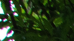 Soñadores, staff y profesores posan juntos. De izquierda a derecha: Gloria, Citlalli, Juan, Olivia, Chris, Angel, Miriam, Irene, Yaretzi, Jose, Anel, Gonzalo, Osvaldo, Bianca, Armando, Lizbeth, Luis, Leticia, Isabel, Estefania, Michael, Luz Arely. (The California-Mexico Studies Center, Inc)