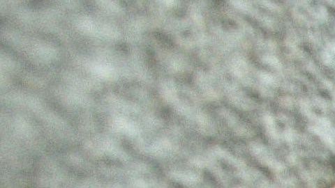 La Administración de Trump persiguió los registros de una reportera de CNN.