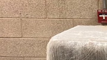 Cae camión con más de media tonelada de droga con valor de $262,500 dólares en Puente Internacional de Pharr