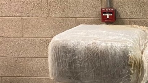 Cae camión con más de media tonelada de droga con valor de $262,500 dólares en Puente Internacional de Pharr