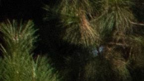 Calor en Woodland Hills