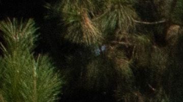 Calor en Woodland Hills