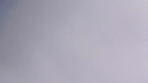 Un policía destruye un campo de amapolas en Sinaloa el 15 de marzo de 2018.