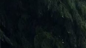 Cártel del Golfo detrás de "cazar" y matar a 14 personas en la frontera