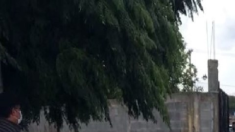 Cártel del Golfo detrás de "cazar" y matar a 14 personas en la frontera