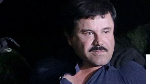 Chapo Guzmán, Mayo Zambada y el Rey Midas