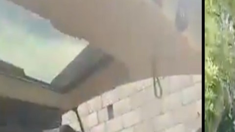 Con total impunidad vacían y cuentan las pertenencias de las camionetas que robaron a personas que cruzaron y circulan cerca de la frontera
