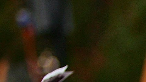 LOS ANGELES - OCTOBER 27:  Janitors for Justice members Ana Castro (L) and Martina de Maroana (C) chant during a rally against Governor Arnold Schwarzenegger's special election initiatives October 27, 2005 in Los Angeles, California. The predominantly Latino crowd of union members oppose all of Schwarzenegger's initiatives to advance his reform agenda, which is at odds with unions of teachers, firefighters, police, and others.  (Photo by David McNew/Getty Images)