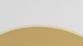 Conoce todo sobre la Copa Oro 2021