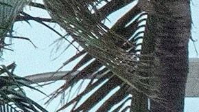 Rescatistas continúan la búsqueda de personas en el edificio derrumbado en Miami.